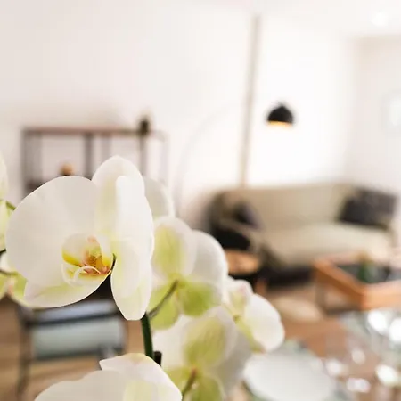 Le Chambord Apartment *