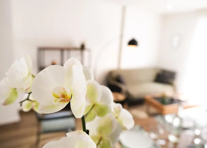 Le Chambord Appartamento *